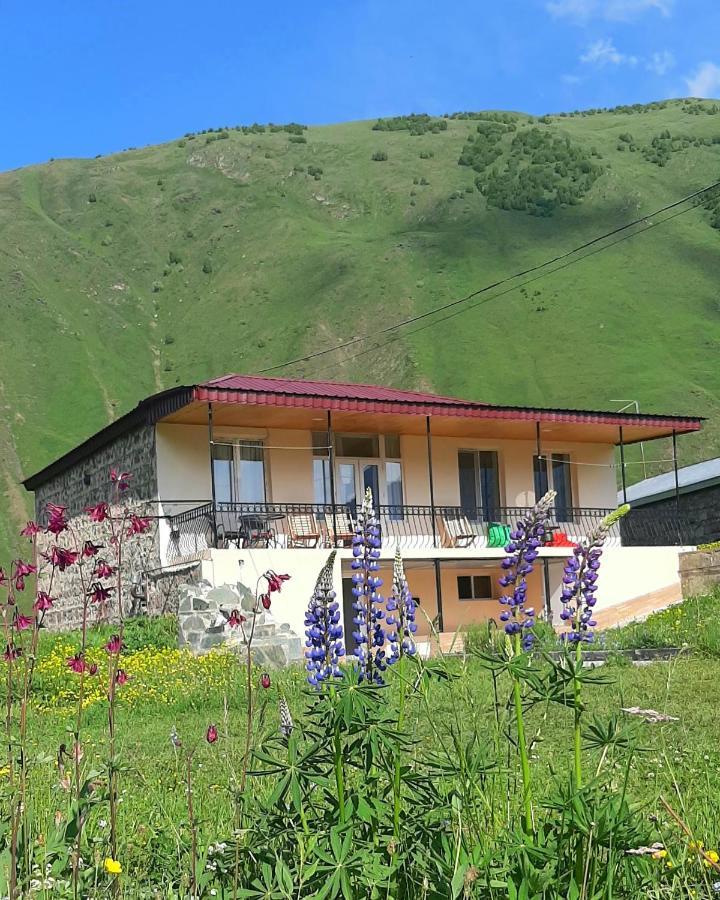 Cozy Hotel Kazbegi 外观 照片